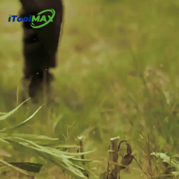 Cordless 3-in-1 Grass Trimmer, Edger & Weed Eater