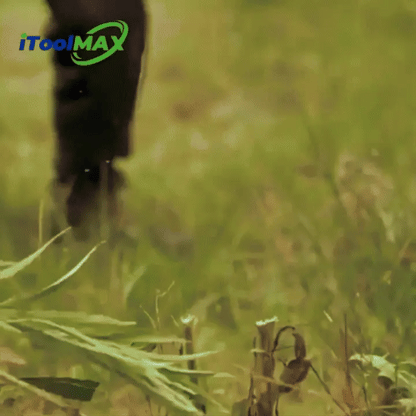 Cordless 3-in-1 Grass Trimmer, Edger & Weed Eater